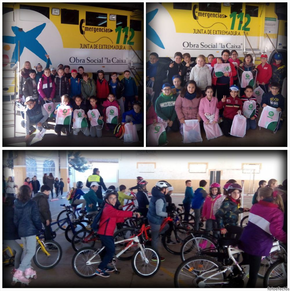 Educacion vial